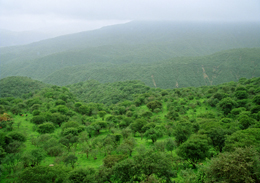 Ù…Ø­Ø§ÙØ¸Ø© Ø¸ÙØ§Ø±