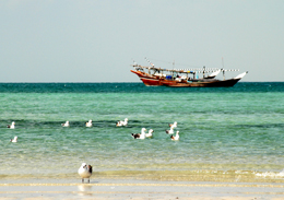 Ù…Ù†Ø·Ù‚Ø© Ø§Ù„Ø´Ø±Ù‚ÙŠØ© Ø¬Ù†ÙˆØ¨