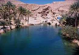 Ù…Ù†Ø·Ù‚Ø© Ø§Ù„Ø´Ø±Ù‚ÙŠØ© Ø´Ù…Ø§Ù„