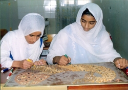 انواع من التعليم