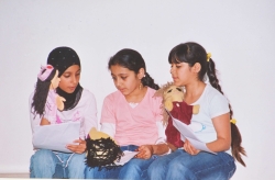 الانشطة الثقافية