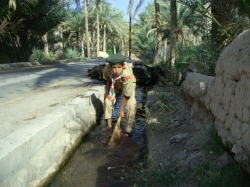 الكشافة والمرشدات