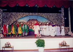 الانشطة الثقافية