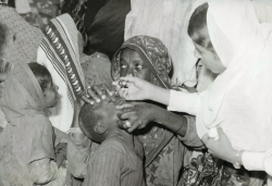 الانشطة الاجتماعية