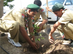 الكشافة والمرشدات
