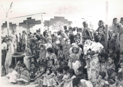 الانشطة الثقافية