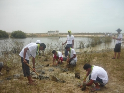 الكشافة والمرشدات