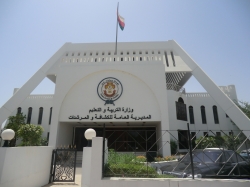 الكشافة والمرشدات