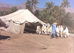 الابنية والمرافق