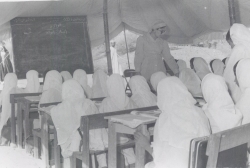 مناشط وفعاليات