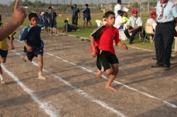 الكشافة والمرشدات