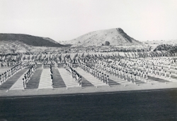 مناشط وفعاليات