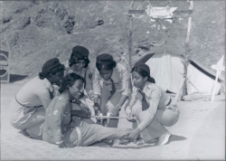 الكشافة والمرشدات