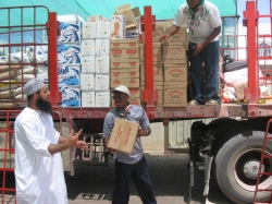 الكشافة والمرشدات