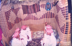 الانشطة الثقافية