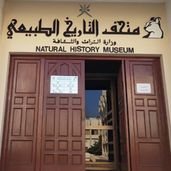 متحف التاريخ الطبيعي