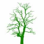 عروض محافظة ظفار